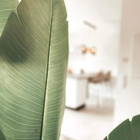 Apartamento Zirbenglück Mit Balkon In Graz