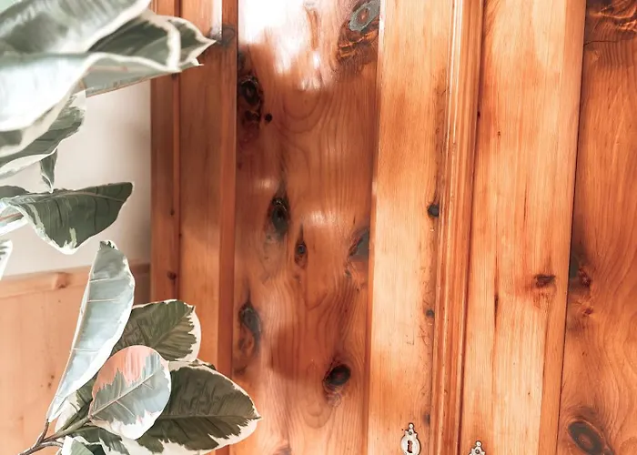 Zirbenglueck Mit Balkon In 公寓 格拉茨