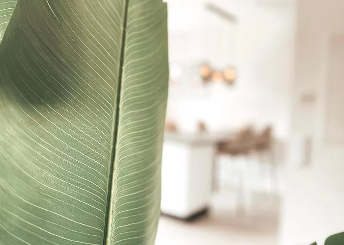 公寓 Zirbenglueck Mit Balkon In 格拉茨